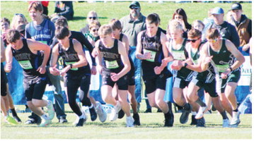 Spartans Place At Class C State Cross Country Meet